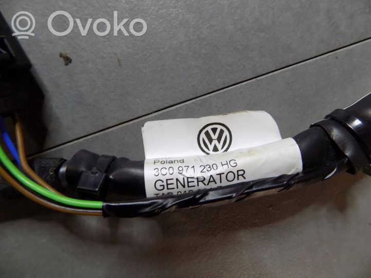 Volkswagen PASSAT CC Cablaggi (generatore/alternatore) 3C0971230HG