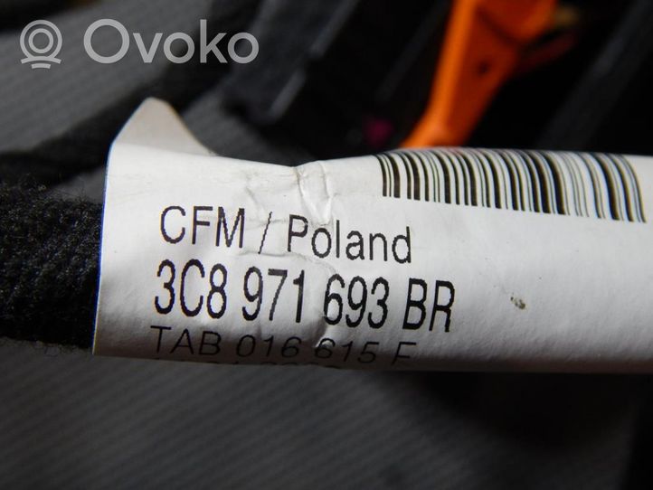 Volkswagen PASSAT CC Wiązka przewodów drzwi tylnych 3C8971693BR