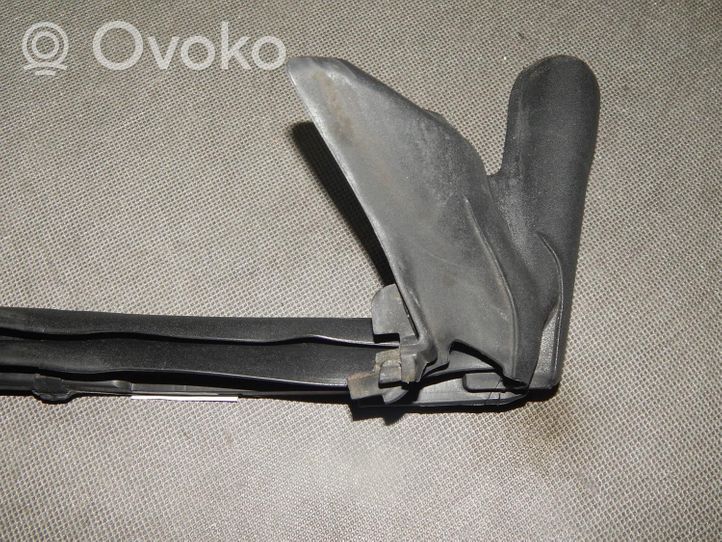 Audi RS5 Priekinė sandarinimo guma ant kėbulo 8F0839479