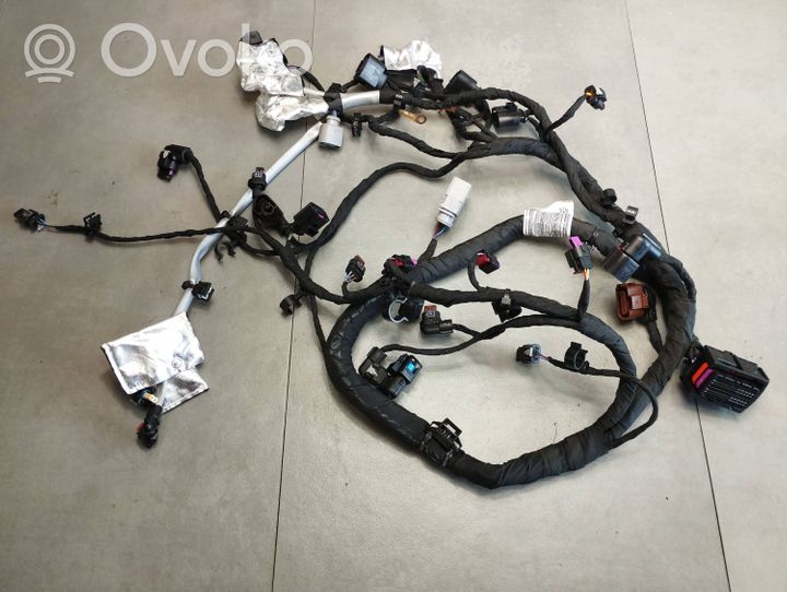 Volkswagen Polo VI AW Cablaggio per l’installazione del motore 05C972627J