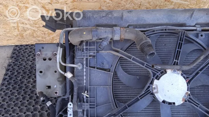 Ford Fusion Pannello di supporto del radiatore 