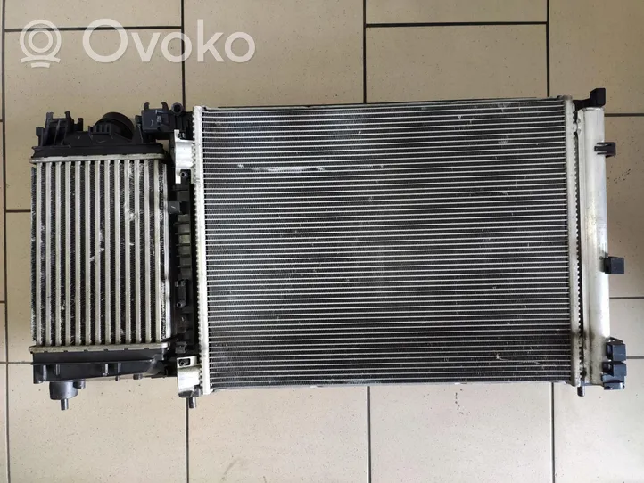 Renault Kangoo II Kit Radiateur 214107347R