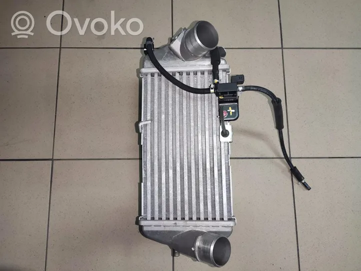 Hyundai i20 (GB IB) Chłodnica powietrza doładowującego / Intercooler hyu12515