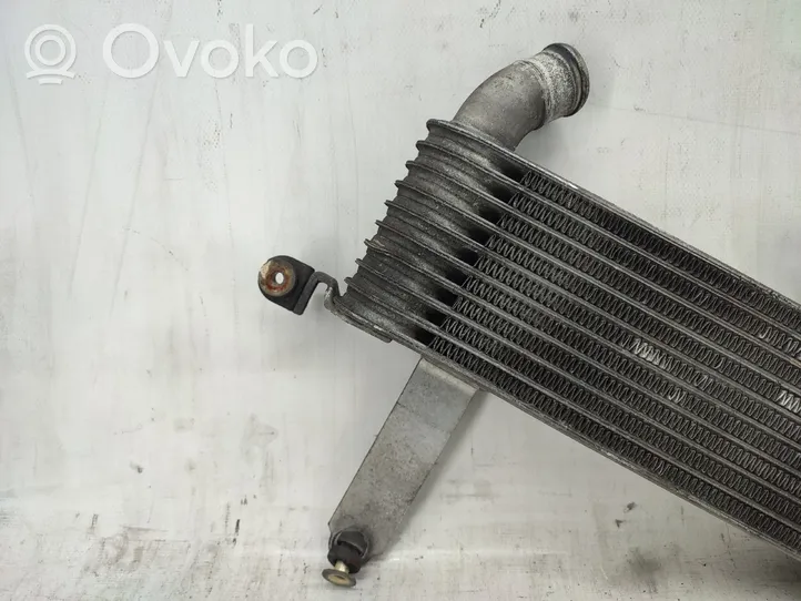 Hyundai Matrix Chłodnica powietrza doładowującego / Intercooler 