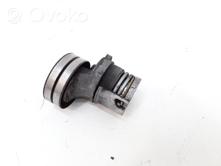 Audi A4 S4 B6 8E 8H Napinacz paska wielorowkowego / Alternatora 038903315