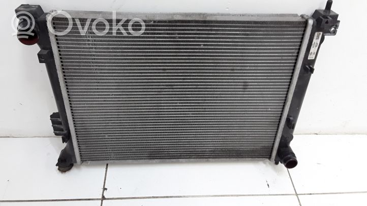 Hyundai i20 (PB PBT) Dzesēšanas šķidruma radiators 0004735