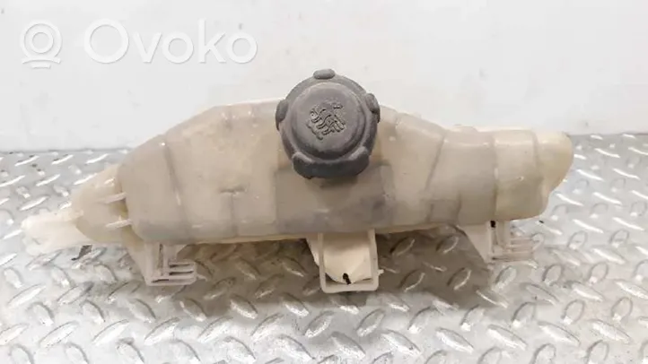 Renault Modus Aušinimo skysčio išsiplėtimo bakelis 7701477290