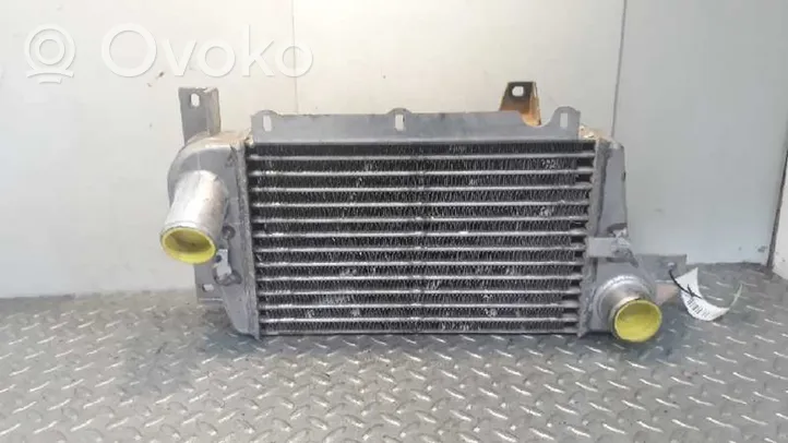 Tata Safari Chłodnica powietrza doładowującego / Intercooler 254714809922