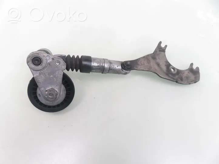 Volkswagen PASSAT B5.5 Timing belt/chain tensioner 