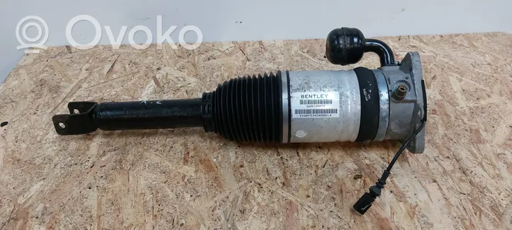 Bentley Continental Air suspension rear shock absorber 3W0616001B