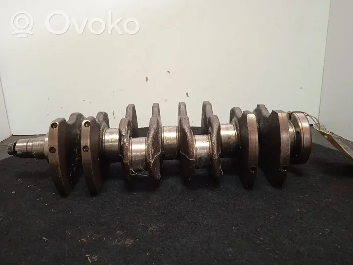 Fiat Grande Punto Crankshaft 