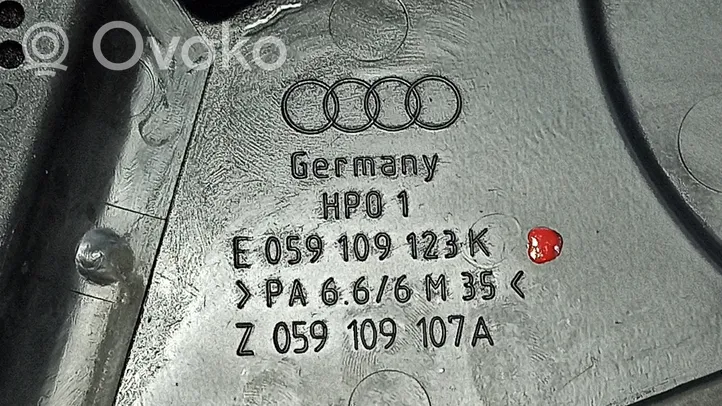 Audi A4 S4 B6 8E 8H Osłona łańcucha rozrządu 059109123K