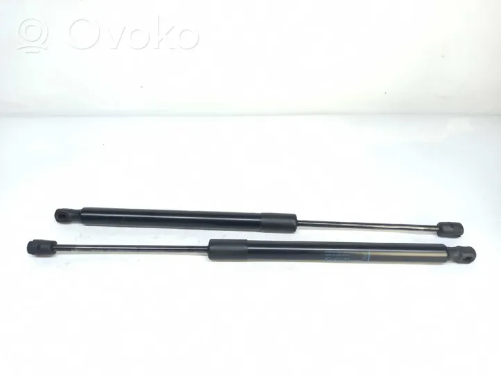 Opel Zafira C Tailgate/trunk strut/damper 13387067