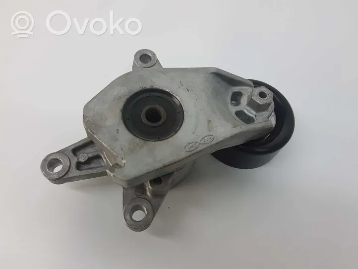 Hyundai i20 (GB IB) Tendicinghia generatore/alternatore 