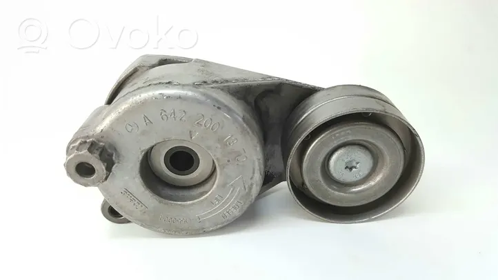 Mercedes-Benz CLK C207 A207 Napinacz paska alternatora 