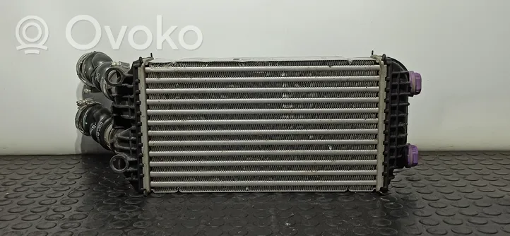 Peugeot 2008 II Intercooler radiator JD1271006520