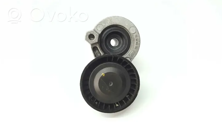 Renault Kangoo II Generator/alternator belt tensioner 