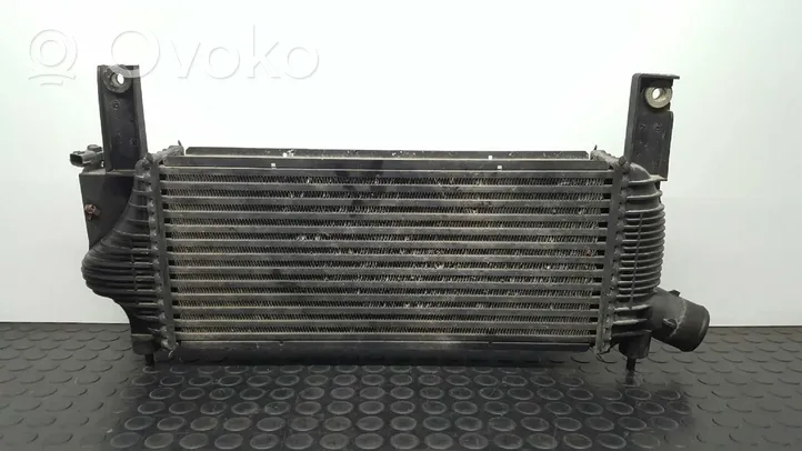 Nissan Pathfinder R51 Radiatore intercooler 