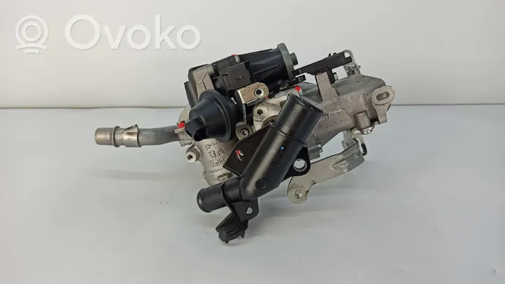 Citroen C3 Picasso Valvola EGR 70215615