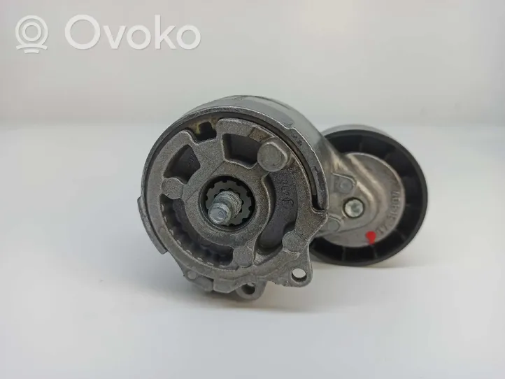 Fiat 500 Tendicinghia generatore/alternatore 51821652