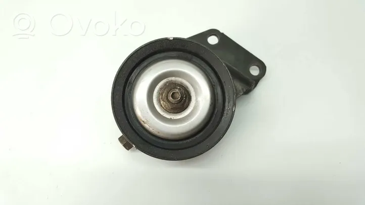 Nissan Pathfinder R51 Alternator belt tensioner pulley 