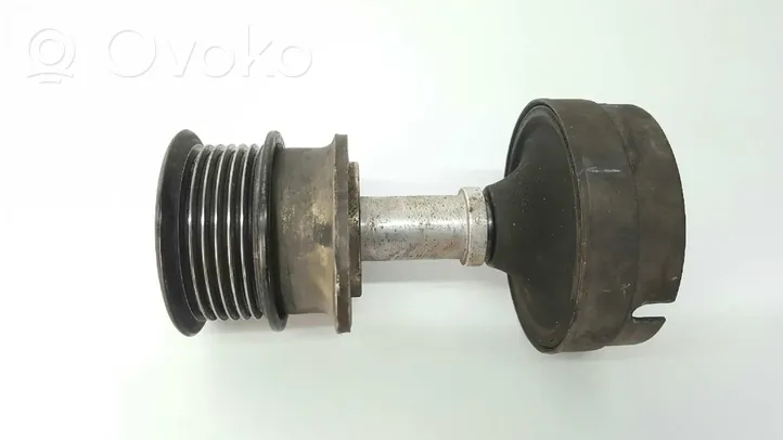 Ford Fiesta Koło pasowe alternatora 98FF-10A352-AE