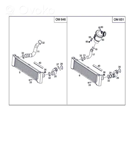 Mercedes-Benz Vito Viano W639 Tubo flessibile mandata olio del turbocompressore turbo A6395282982