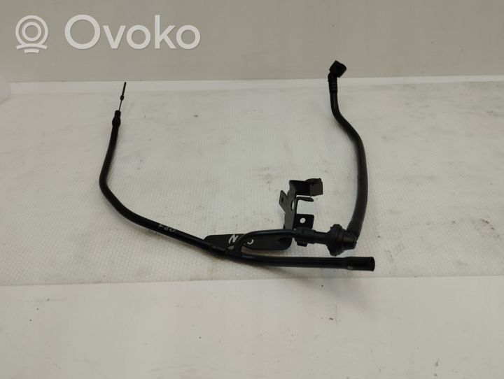 BMW 1 F20 F21 Asta di controllo livello olio 1618210494311