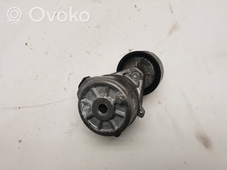 Peugeot 208 Napinacz paska alternatora 9675874680