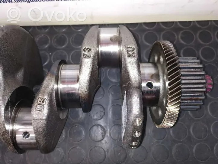 Volkswagen PASSAT B7 Crankshaft 03L101B