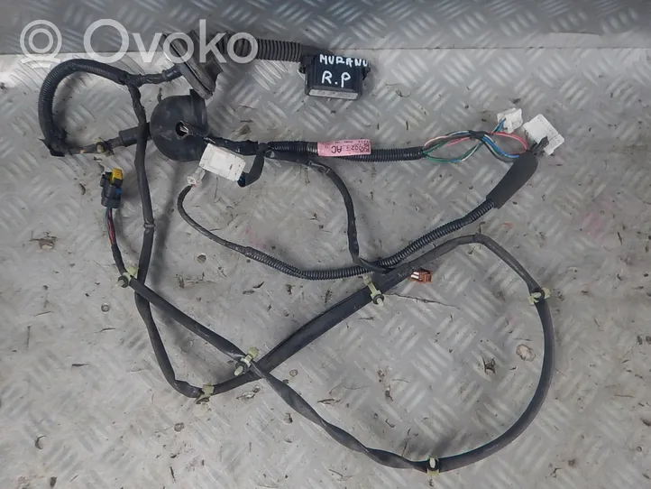 Nissan Murano Z50 Cableado de puerta delantera 24012BB52A