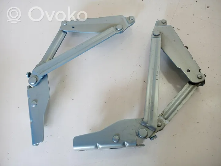 Renault Fluence Tailgate hinge 