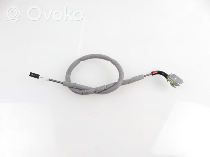Mini Cooper Countryman R60 Front door cable line 