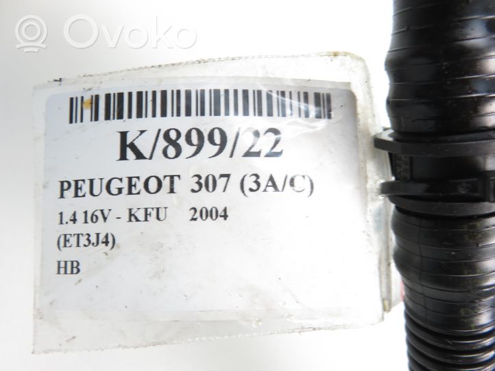 Peugeot 307 Vacuum line/pipe/hose 