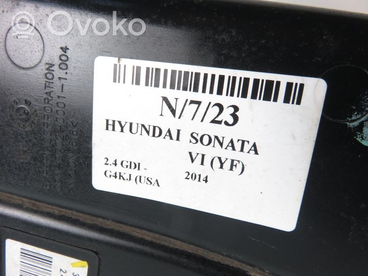Hyundai Sonata Aktīvā oglekļa (degvielas tvaiku) filtrs 