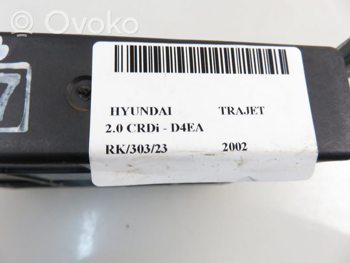 Hyundai Trajet Calculateur moteur ECU 