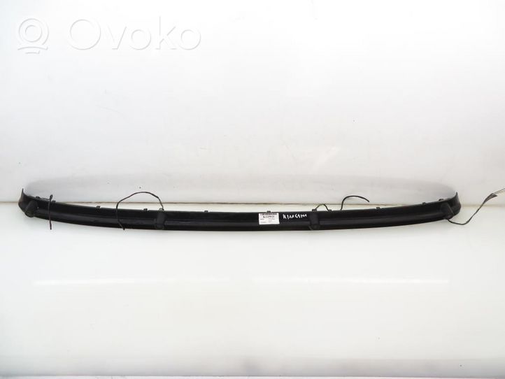 BMW 3 E46 Front bumper splitter molding 