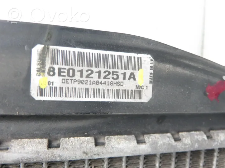 Audi A4 S4 B7 8E 8H Radiatore di raffreddamento 