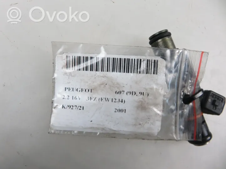 Peugeot 607 Injecteur de carburant 