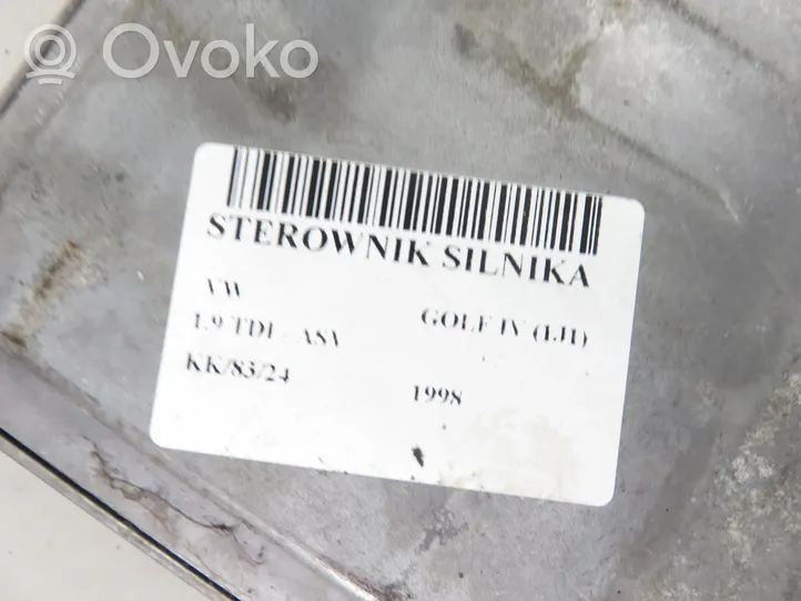 Volkswagen Golf IV Sterownik / Moduł ECU 0281001613