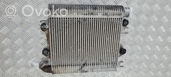 Isuzu D-Max Radiatore intercooler 