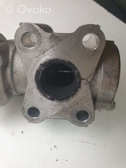 Toyota RAV 4 (XA40) Zawór EGR DEG0107