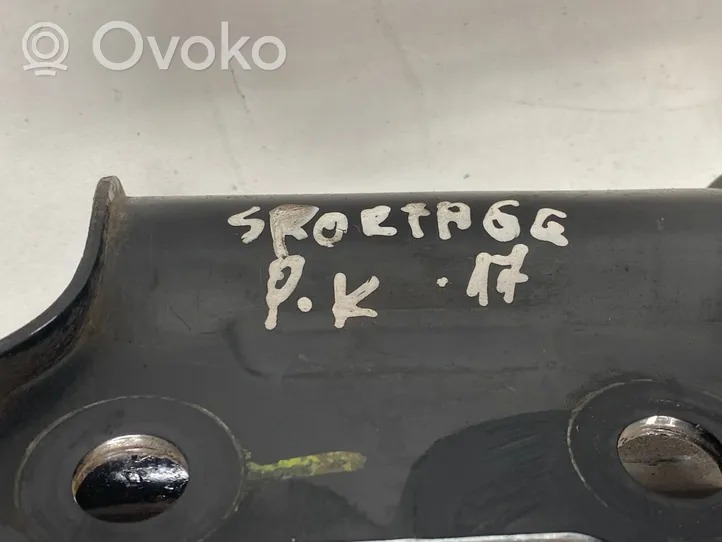 KIA Sportage Amortyzator osi przedniej ze sprężyną 54630F1DG0