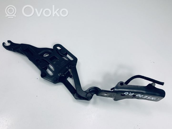 BMW X5 E70 Cerniere del vano motore/cofano 714834811