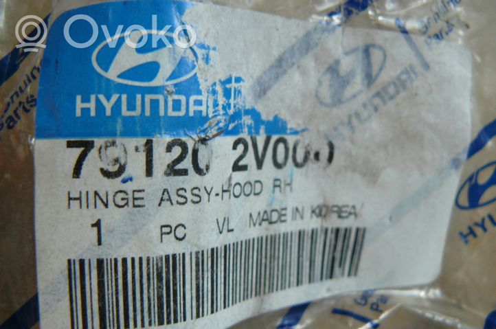 Hyundai Veloster Vyris (-iai) variklio dangčio 791202V000