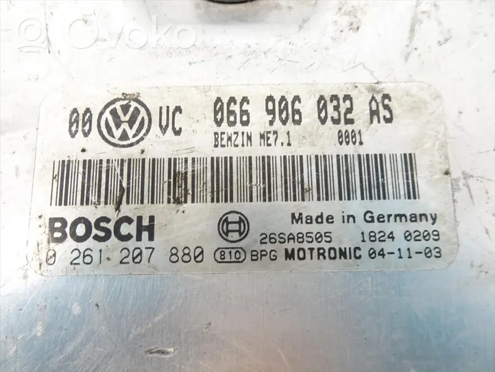 Volkswagen PASSAT B5.5 Centralina/modulo del motore 066906032AS