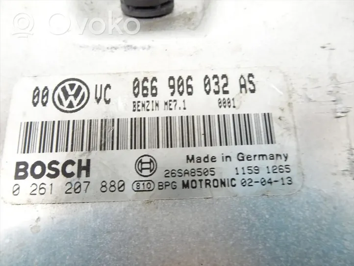Volkswagen PASSAT B5.5 Centralina/modulo del motore 066906032AS