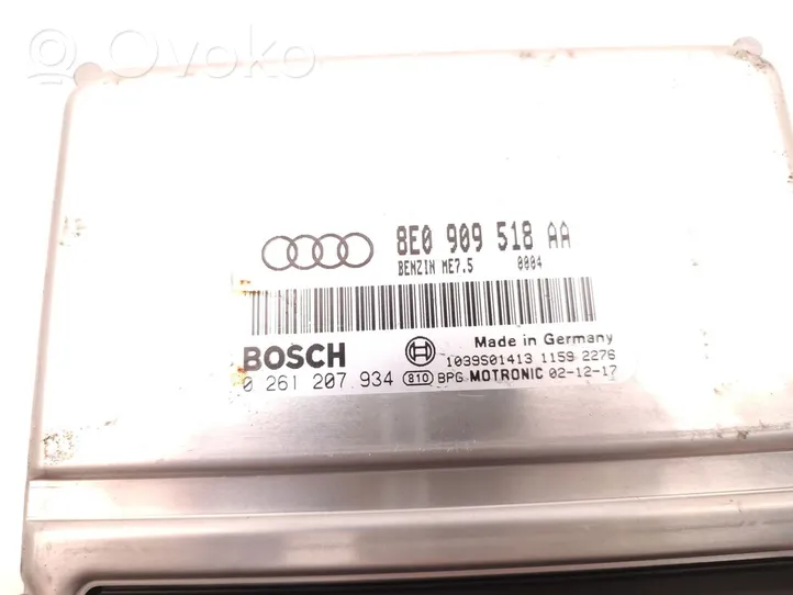 Audi A4 S4 B6 8E 8H Variklio valdymo blokas 8E0909518AA