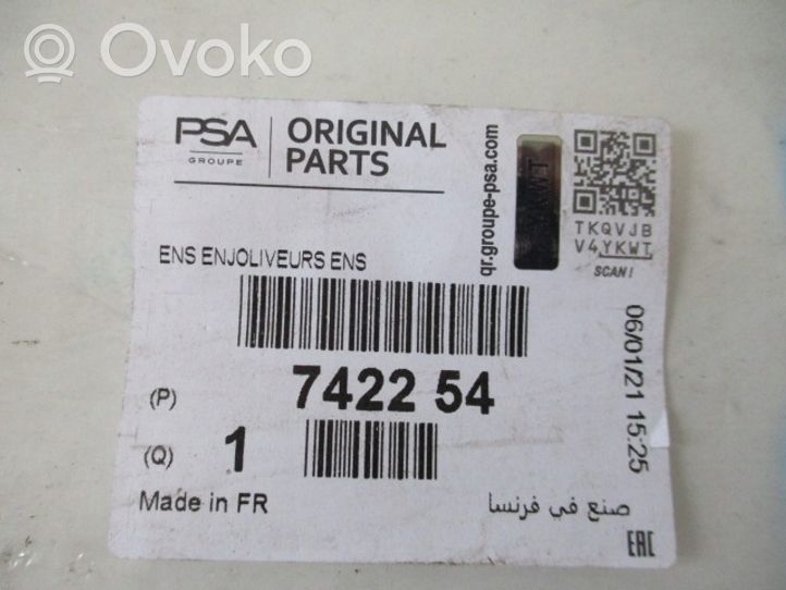 Citroen C3 Picasso Verkleidung Nebelscheinwerfer / Gitter vorne  9681807677 742254