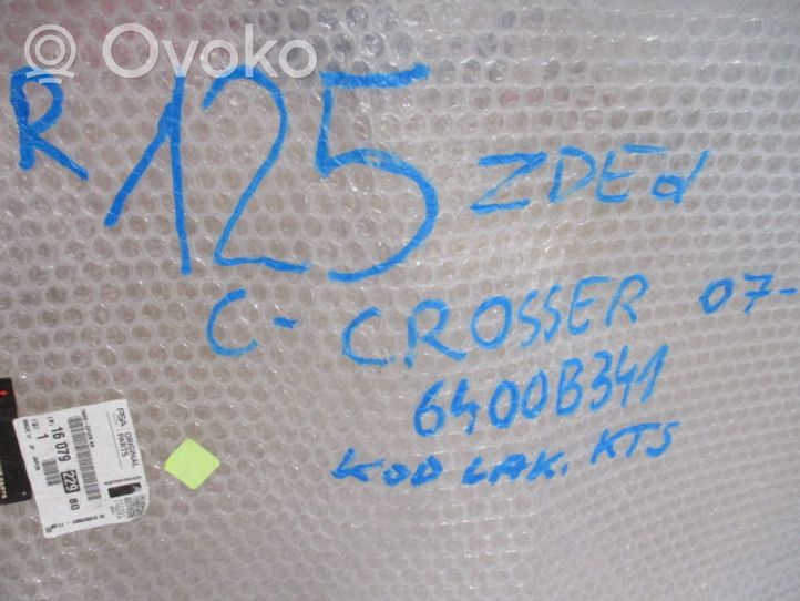 Citroen C-Crosser Pare-choc avant 1607922980 6400B341